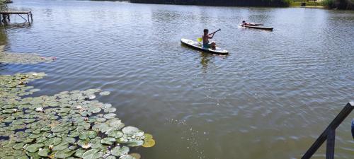 a person on a paddle board in a lake at Anna-Lak in Dunapataj