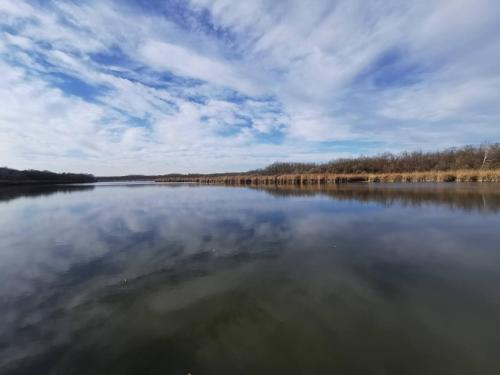 a large body of water with a cloudy sky at Tavi Panzió in Dunapataj