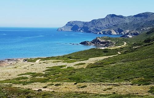 a green hillside with the ocean in the background at Relais La Terrazza in Palmadula