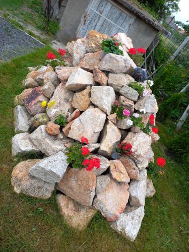 a rock garden with flowers growing out of it at Oázis Apartman in Sárospatak