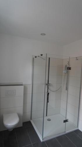 a bathroom with a shower and a toilet at Uta von Ballenstedt in Ballenstedt