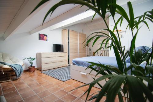 Duplex Balancon