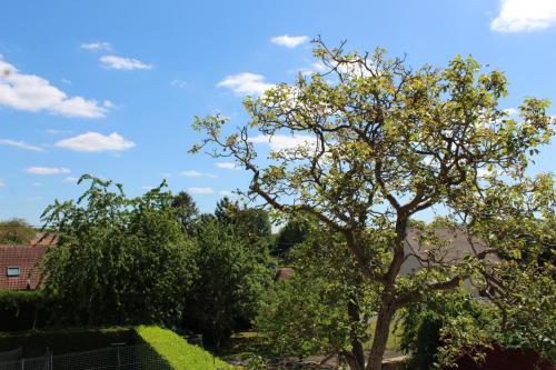 Gallery image of Superbe Appartement Circuit des 3 Chateaux in Folembray