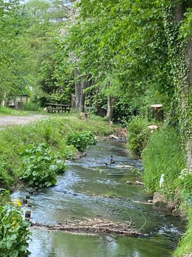 a person in a boat in a river at LE GAI LO GITE in Villers-Pol