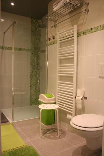 une salle de bain avec toilettes et douche dans l'établissement Les Hellebores, à Caudebec-en-Caux