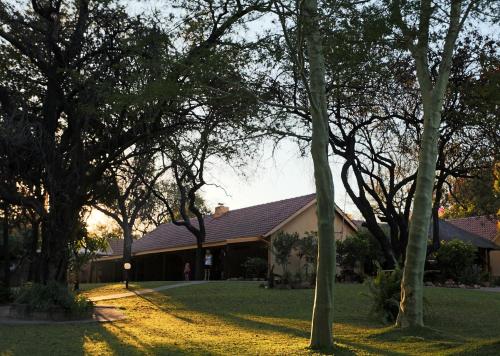 a house with a group of trees in the yard at Sunbird Lodge in Phalaborwa