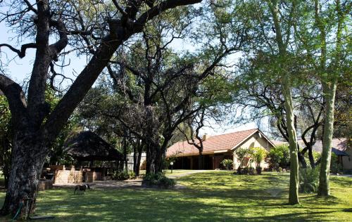 una casa con un patio con árboles delante de ella en Sunbird Lodge, en Phalaborwa