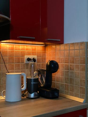 Kuchyň nebo kuchyňský kout v ubytování Tesla Smart apartment