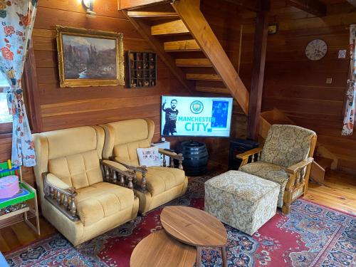 salon z kanapą, 2 krzesłami i telewizorem w obiekcie House for rent Mrežnica w mieście Duga Resa