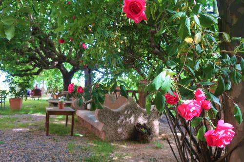a bench sitting under a tree with pink roses at Masia Sagués in Poblet