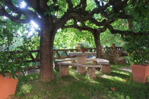 a picnic table under a tree in a park at Masia Sagués in Poblet