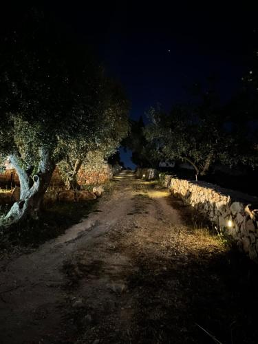 a dirt road with trees and a stone wall at night at La Mia Lamia in Cisternino