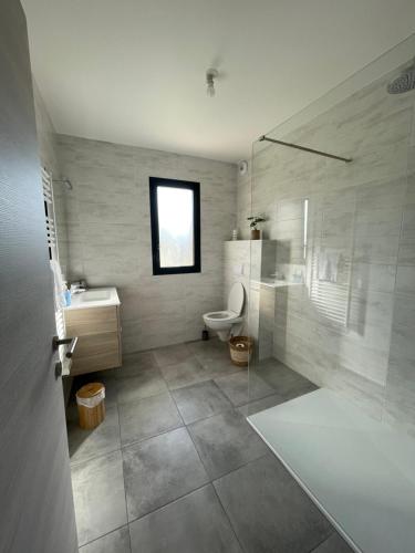 a bathroom with a shower and a toilet and a sink at Superbe T3 NEUF VUE MER in Propriano