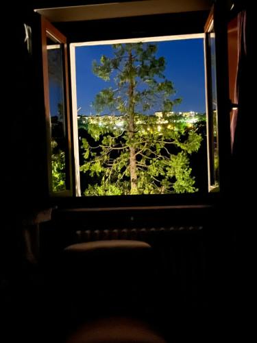 a window with a tree looking out at the city at Dimora Rosa Bianca in Macerata