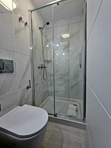 uma casa de banho com uma cabina de duche em vidro e um WC. em Cardón Jandía 2B em Morro del Jable