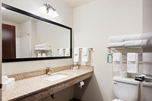 Koupelna v ubytování Cobblestone Inn & Suites - Yuma