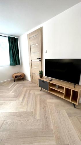 Televízia a/alebo spoločenská miestnosť v ubytovaní Apartament 21