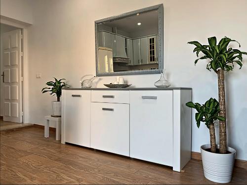 Novedad Suite Céntrico con Porche y Jardín