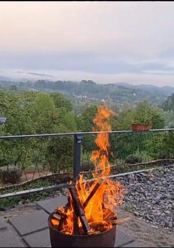 a fire in a pot on top of a rock at Stablo guest house in Bărăşti
