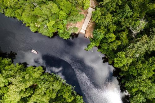 an overhead view of a river in a forest at The Tree House in Middleburg