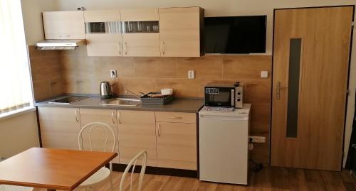 uma pequena cozinha com um lavatório e um micro-ondas em Booking Tržní em Děčín