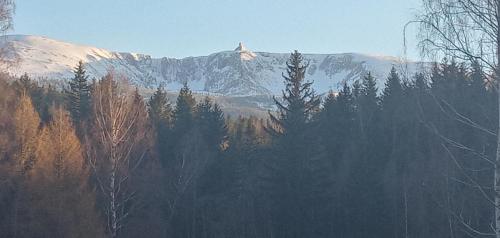 śnieżna góra w środku lasu w obiekcie DOMEK POD ŚMIELCEM w Jagniątkowie
