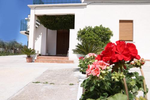 Κήπος έξω από το B&B VANNEFORA