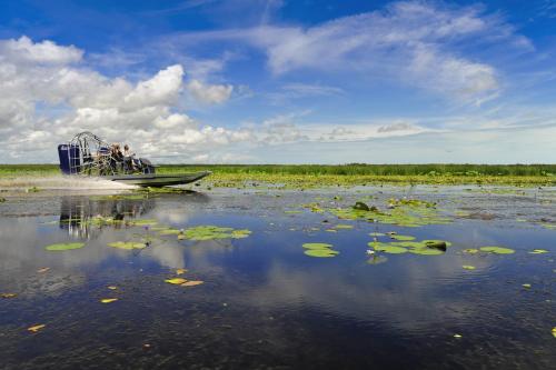 a boat in a lake with lily pads at Bamurru Plains in Point Stuart
