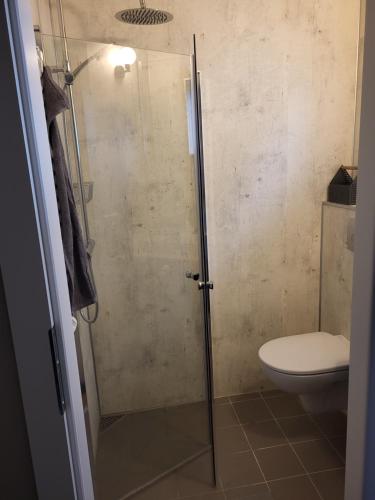 a shower in a bathroom with a toilet at Meribella Studio in Eyrarbakki