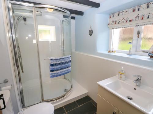 a bathroom with a shower and a toilet and a sink at Bwthyn Y Felin Star in Clydey