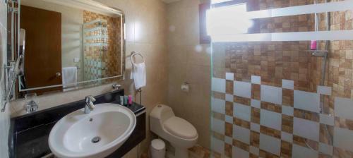 Koupelna v ubytování Al-Borg Hotel