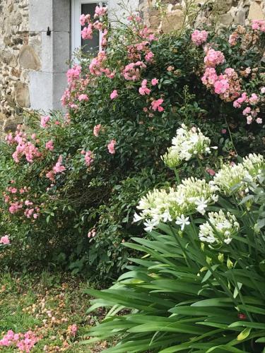 a garden of pink and white flowers in front of a building at Escale de Gerbold in Gratot