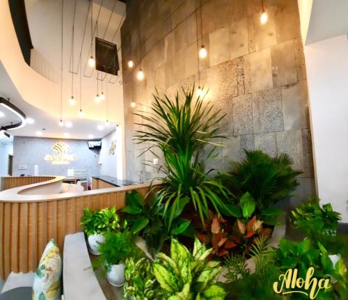 een restaurant met potplanten aan de muur bij Aloha Hotel Vung Tau in Vung Tau