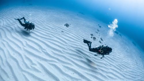 two people swimming in the water in the ocean at Liuqiu Dive Hostel in Xiaoliuqiu