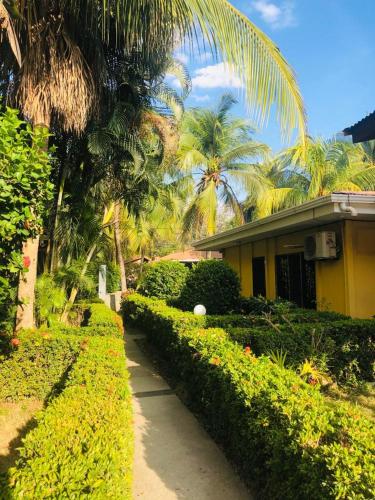 Hotel Isolina Beach – Photos 2