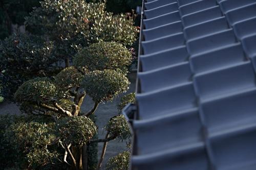 an overhead view of a group of trees and roofs at Yamada Bessou くつろぎの温泉宿 山田別荘 in Beppu