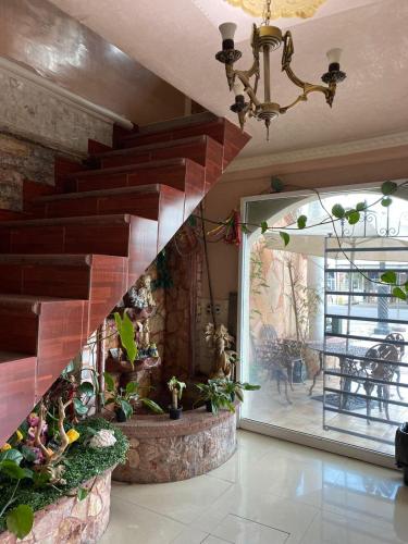 a living room with a staircase with plants at Hotel Plaza in San Martín Texmelucan de Labastida