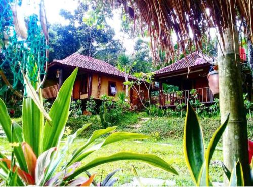 Zahrada ubytování Sky garden Lombok