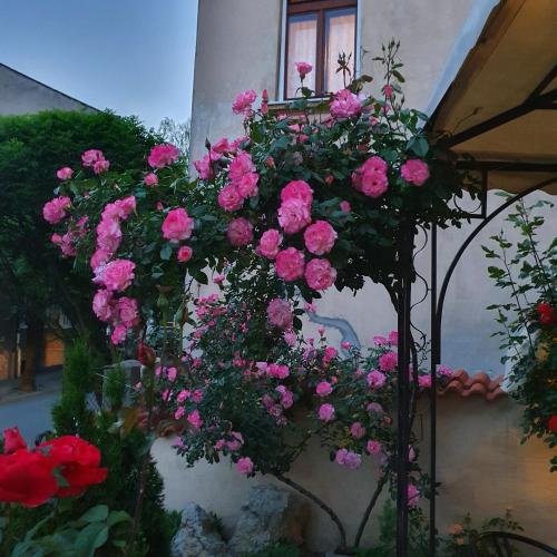 a bunch of pink flowers hanging from a building at Guest House Gurkov in Veliko Tŭrnovo