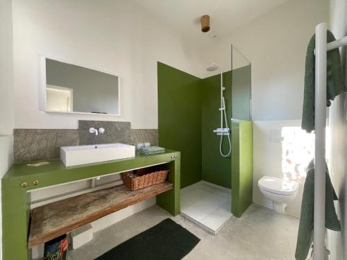 La salle de bains verte est pourvue d'un lavabo et de toilettes. dans l'établissement La Maison Barbentane, à Barbentane