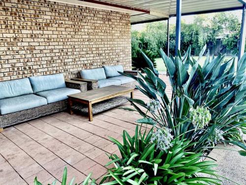 a patio with a couch and a table and some plants at KING BEDS, Family & Pet Friendly, StayDubbo in Dubbo