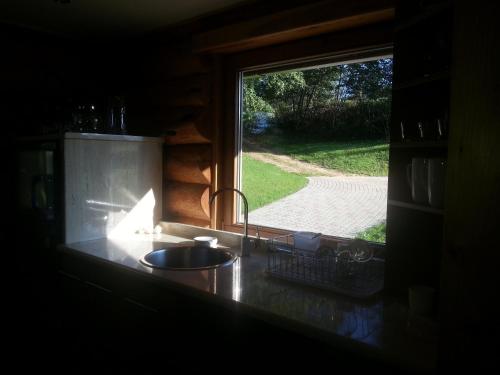 a kitchen counter with a sink and a window at Brīvdienu māja Ezerlīči in Korneti