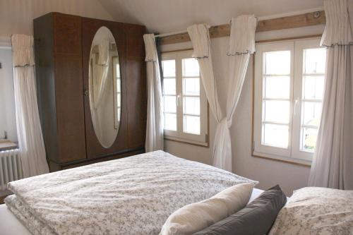 - une chambre avec un lit, un miroir et des fenêtres dans l'établissement Wohnung Alter Heuboden im Fachwerk bei Bonn Alfter, à Heidgen