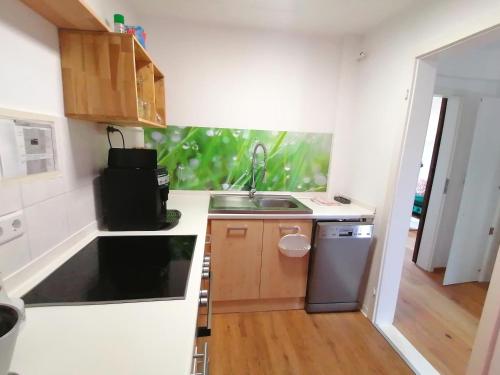 a small kitchen with a sink and a stove at Ferienhaus Peggy in Kurort Oybin
