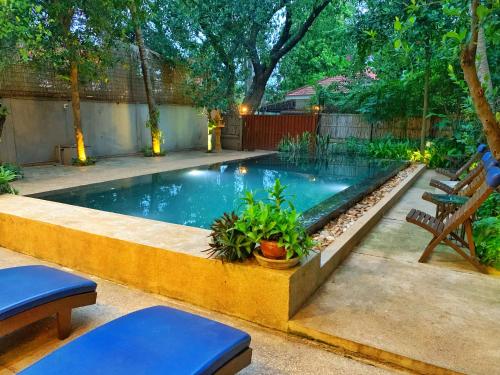 暹粒My Key Polanka Private Villa with Pool的后院的游泳池,有2个蓝色长椅