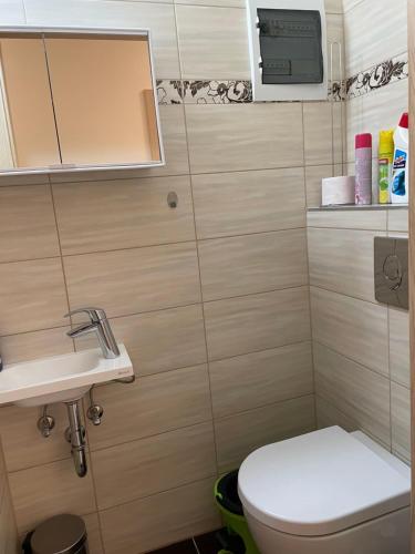 a small bathroom with a toilet and a sink at Luxus Apartment direkt am See in Csopak