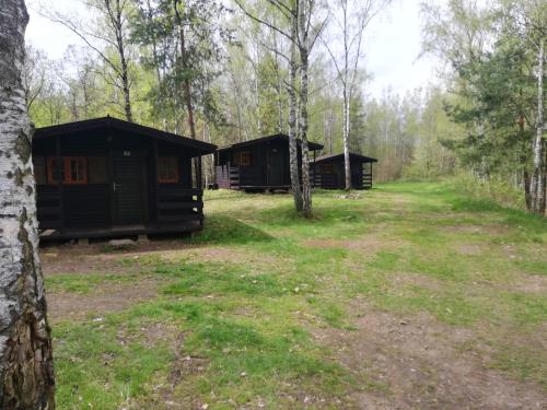 a couple of cabins in the woods at Sport kemp Ejpovice in Ejpovice