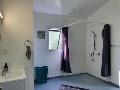 ein Bad mit einer Dusche, einem Waschbecken und einem Fenster in der Unterkunft Bookabarn in Kerikeri