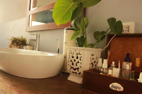 een badkamer met een bad en een potplant bij B&B Renaio in Fiesole