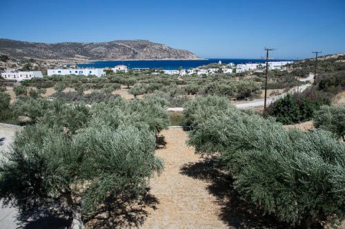a row of olive trees on the side of a road at Vardes Hotel Studios in Amoopi